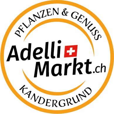 Adelli Markt